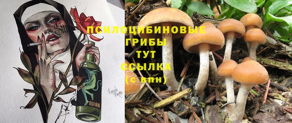меф Бородино