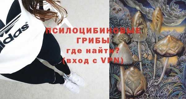 дживик Бугульма