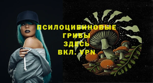 дживик Бугульма
