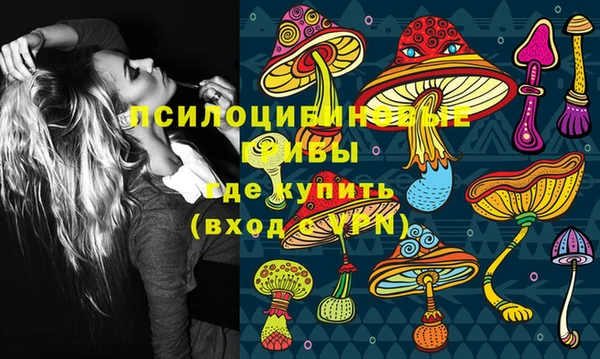 дживик Бугульма