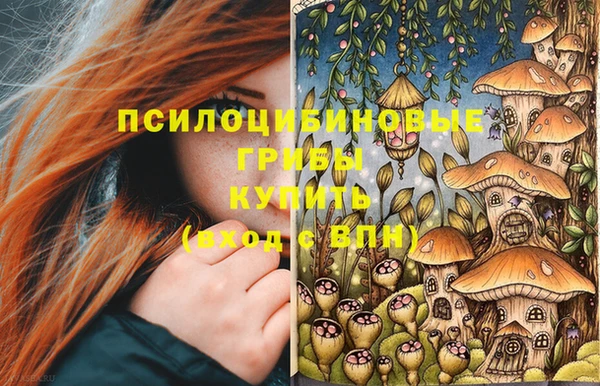 меф Бородино