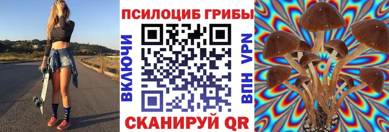 blacksprut ссылка  Будённовск  Псилоцибиновые грибы Magic Shrooms 