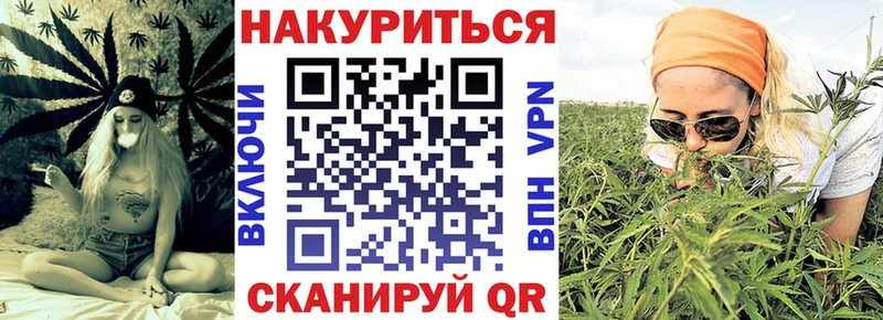 Марихуана индика хочу Будённовск
